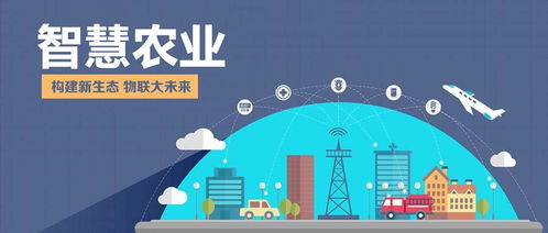 物聯(lián)網(wǎng)技術(shù)在傳統(tǒng)農(nóng)業(yè)轉(zhuǎn)型中的挑戰(zhàn)與服務(wù)路徑探索
